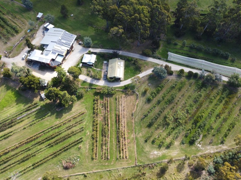 89 Upper Scamander Road, Scamander TAS 7215