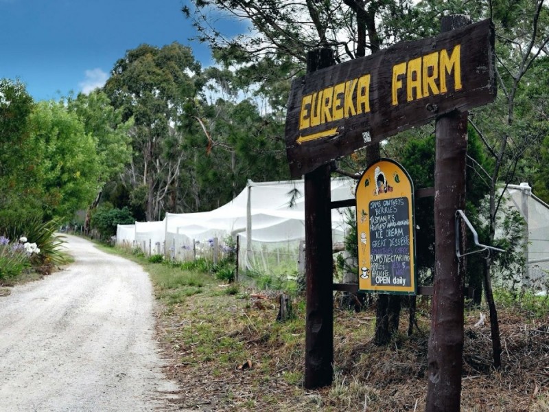 89 Upper Scamander Road, Scamander TAS 7215