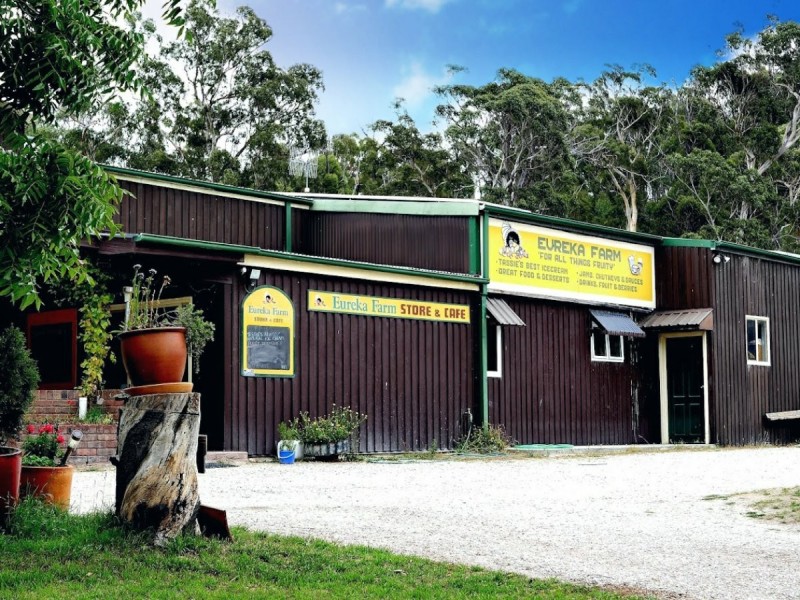 89 Upper Scamander Road, Scamander TAS 7215