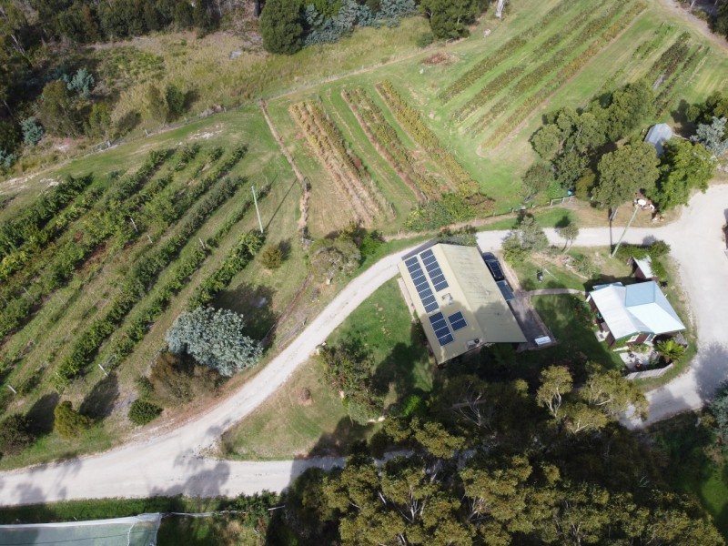 89 Upper Scamander Road, Scamander TAS 7215