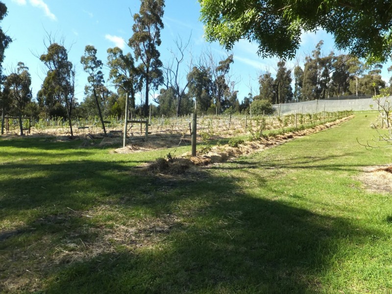 89 Upper Scamander Road, Scamander TAS 7215