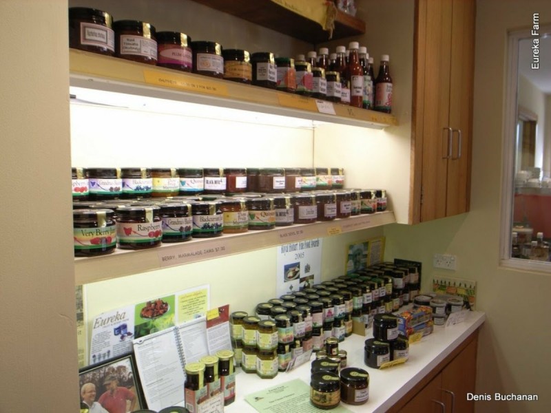 89 Upper Scamander Road, Scamander TAS 7215