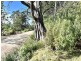 PID 263281 Lottah Road, Lottah TAS 7216