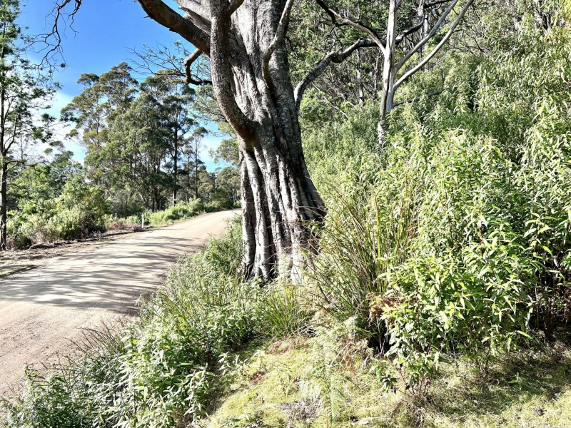 PID 263281 Lottah Road, Lottah TAS 7216