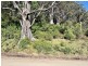 PID 263281 Lottah Road, Lottah TAS 7216