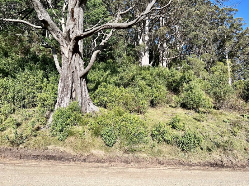 PID 263281 Lottah Road, Lottah TAS 7216