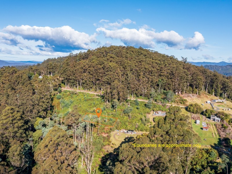 PID 263303 Lottah Road, Lottah TAS 7216