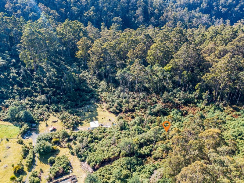 PID 263303 Lottah Road, Lottah TAS 7216