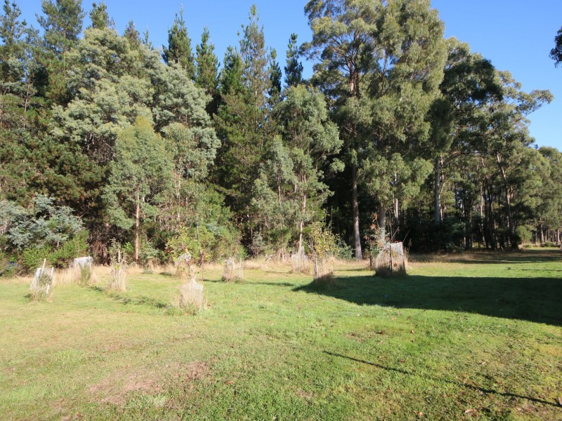 22 Gray Road, St Marys TAS 7215