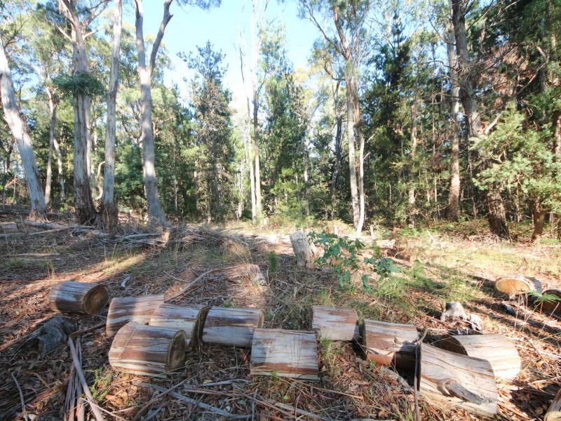 22 Gray Road, St Marys TAS 7215