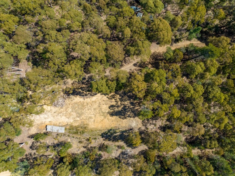 88 Main Street, St Marys TAS 7215