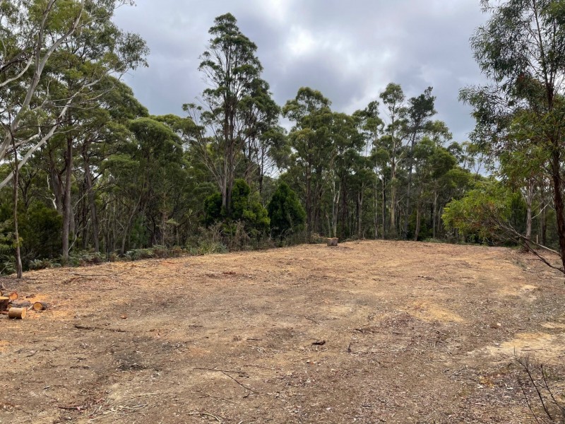 88 Main Street, St Marys TAS 7215