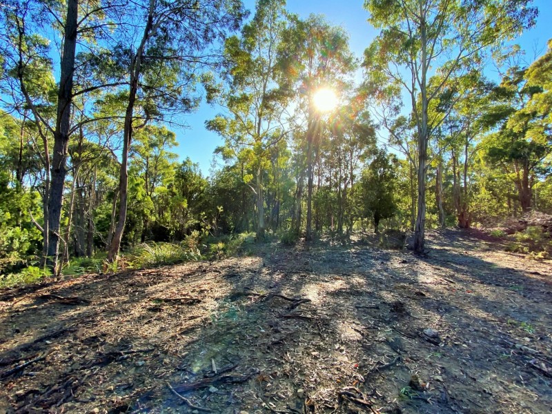 88 Main Street, St Marys TAS 7215