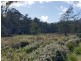 PID 275515 Irish Town Road, St Marys TAS 7215