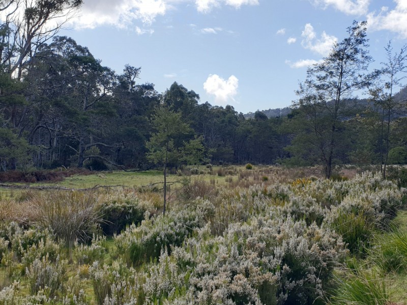 PID 275515 Irish Town Road, St Marys TAS 7215