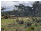 PID 275515 Irish Town Road, St Marys TAS 7215