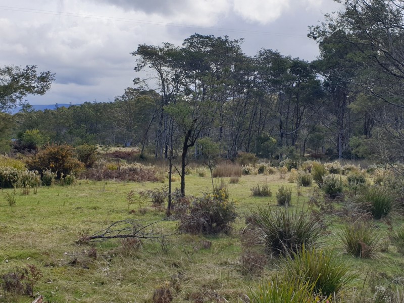 PID 275515 Irish Town Road, St Marys TAS 7215