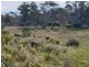 PID 275515 Irish Town Road, St Marys TAS 7215