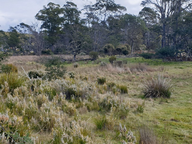 PID 275515 Irish Town Road, St Marys TAS 7215