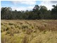 PID 275515 Irish Town Road, St Marys TAS 7215
