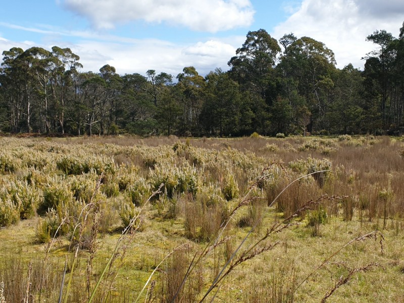 PID 275515 Irish Town Road, St Marys TAS 7215