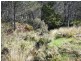 PID 275515 Irish Town Road, St Marys TAS 7215