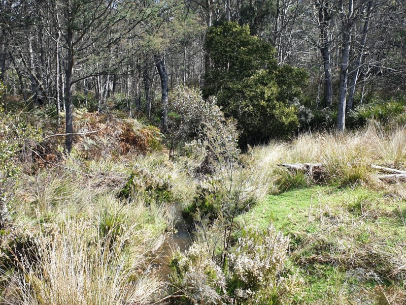PID 275515 Irish Town Road, St Marys TAS 7215