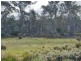 PID 275515 Irish Town Road, St Marys TAS 7215