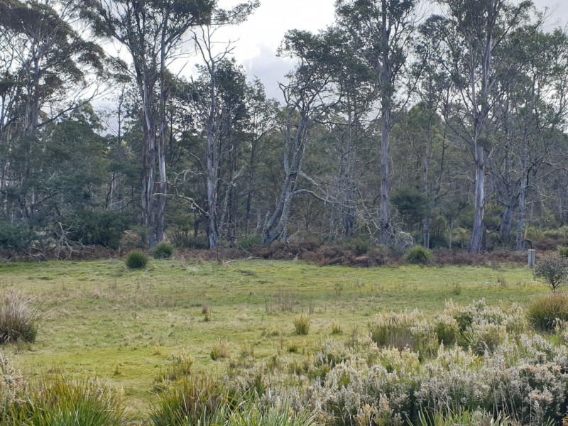 PID 275515 Irish Town Road, St Marys TAS 7215
