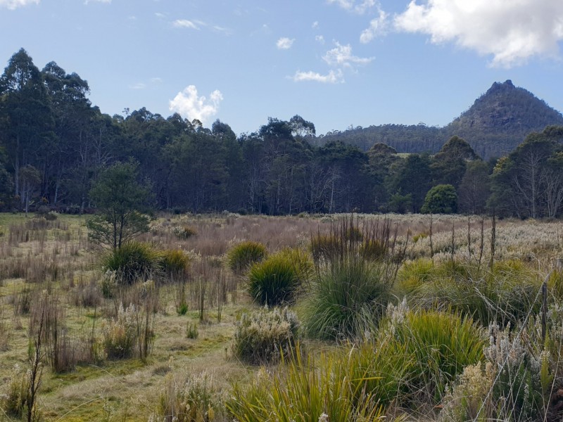 PID 275515 Irish Town Road, St Marys TAS 7215