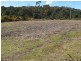 PID 275515 Irish Town Road, St Marys TAS 7215