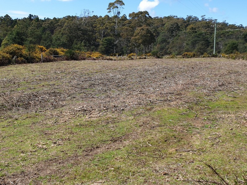 PID 275515 Irish Town Road, St Marys TAS 7215