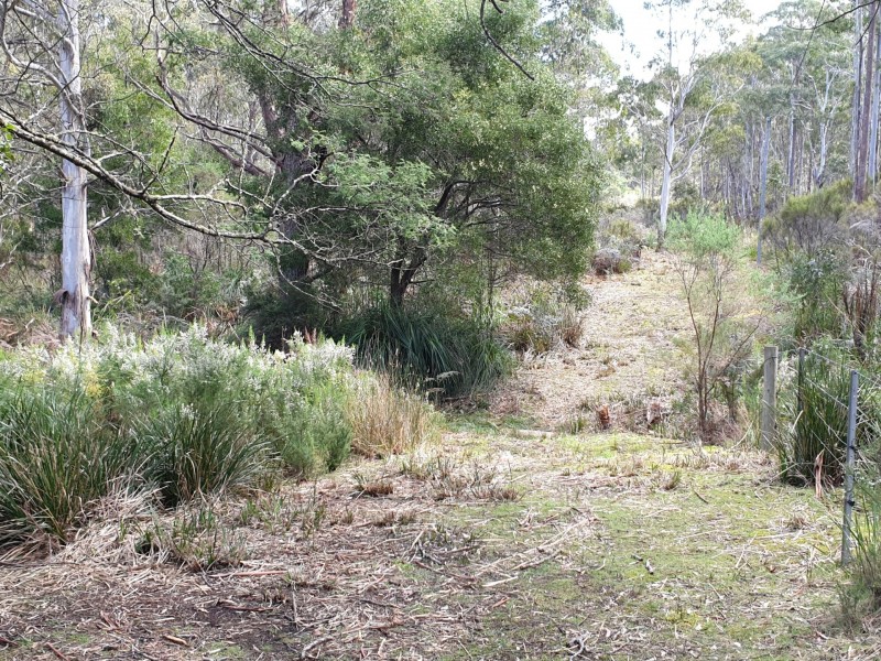 PID 275515 Irish Town Road, St Marys TAS 7215