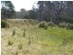 PID 275515 Irish Town Road, St Marys TAS 7215