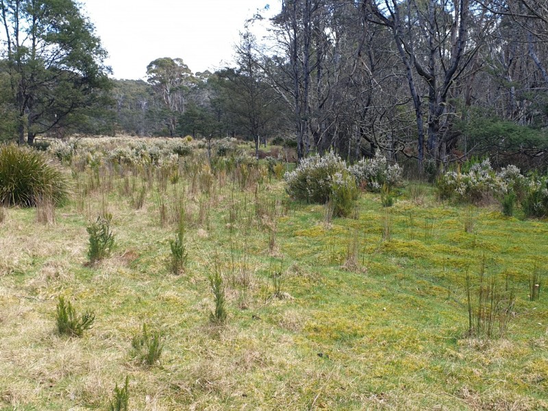 PID 275515 Irish Town Road, St Marys TAS 7215