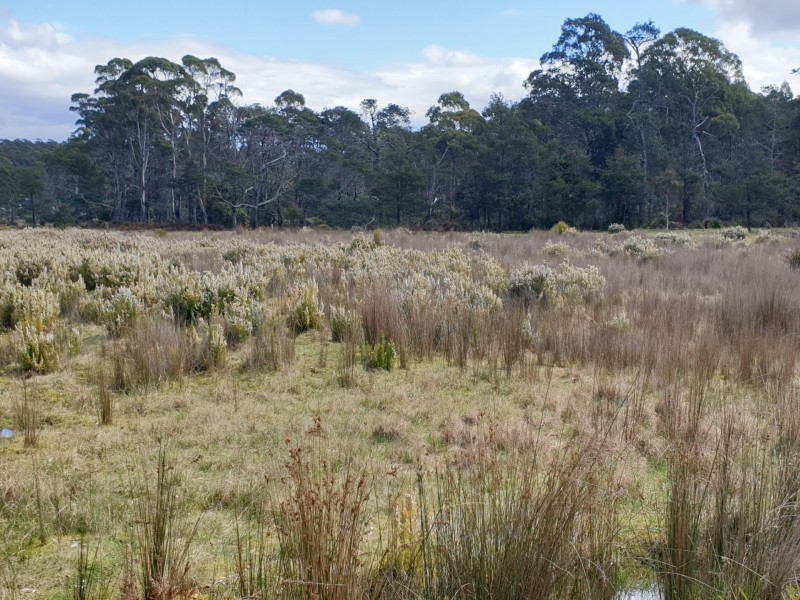 PID 275515 Irish Town Road, St Marys TAS 7215