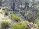 PID 275515 Irish Town Road, St Marys TAS 7215