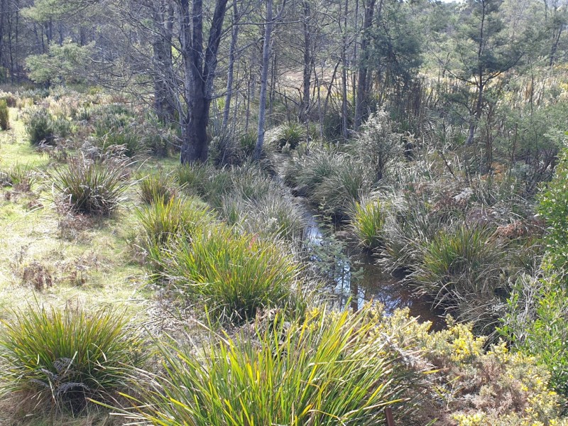 PID 275515 Irish Town Road, St Marys TAS 7215