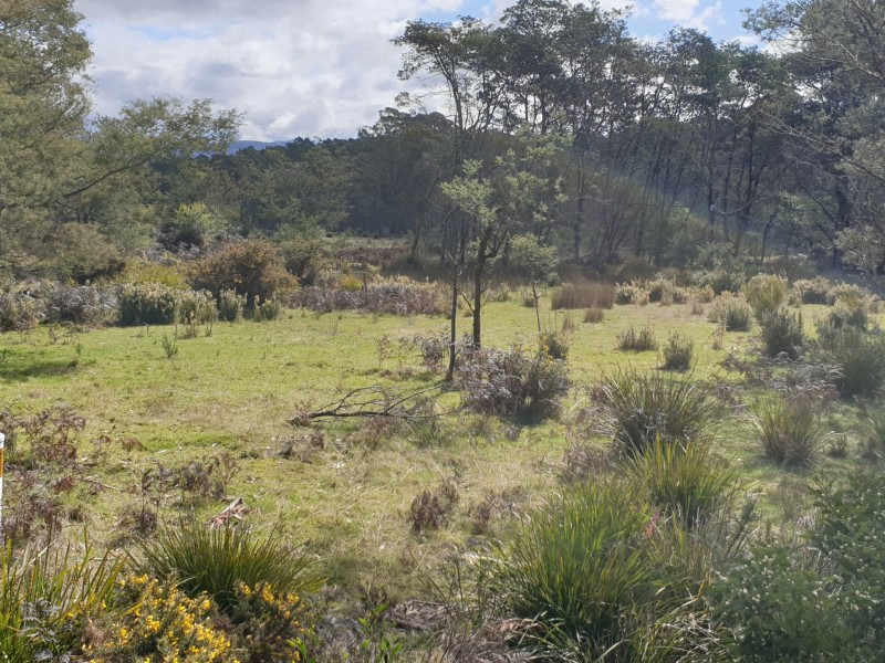 PID 275515 Irish Town Road, St Marys TAS 7215