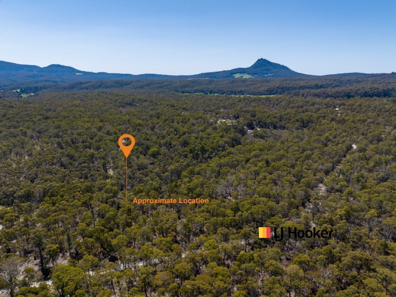 449 Elephant Pass Road, Gray TAS 7215