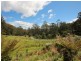 835 Lottah Road, Lottah TAS 7216