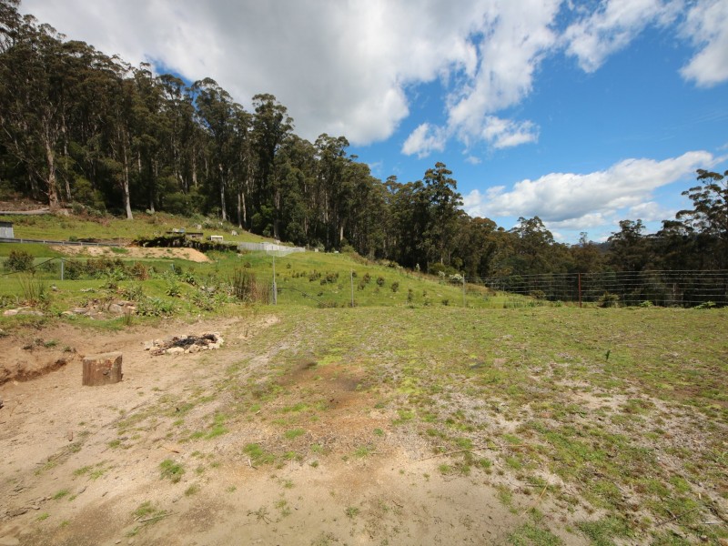 835 Lottah Road, Lottah TAS 7216