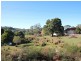 26920 Tasman Highway, Goshen TAS 7216