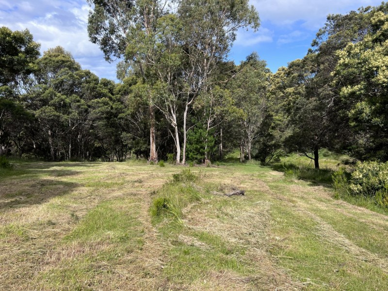 Oceanvista Drive, St Helens TAS 7216