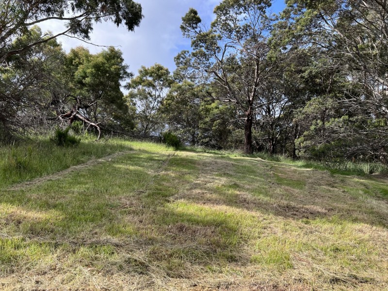 Oceanvista Drive, St Helens TAS 7216
