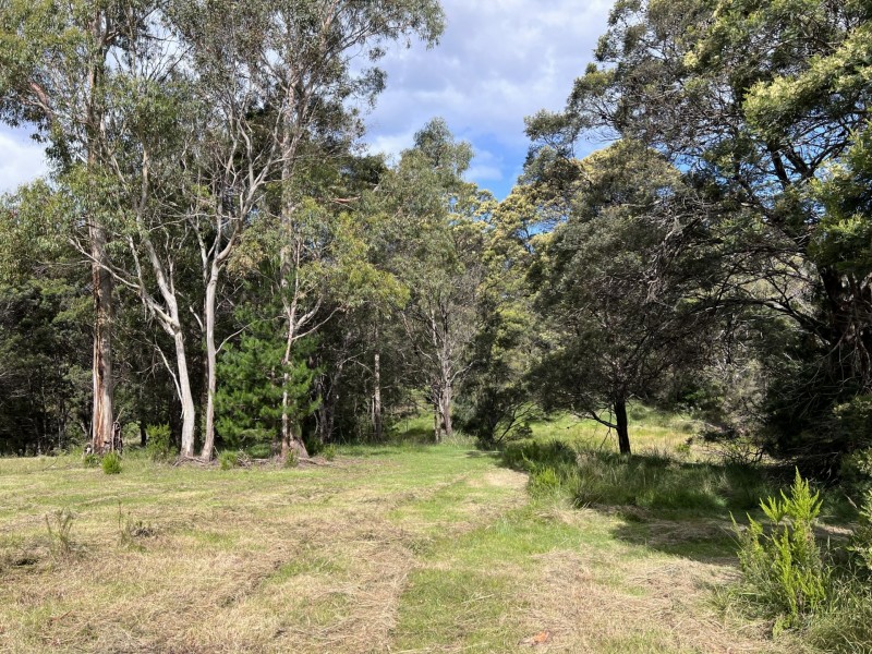 Oceanvista Drive, St Helens TAS 7216