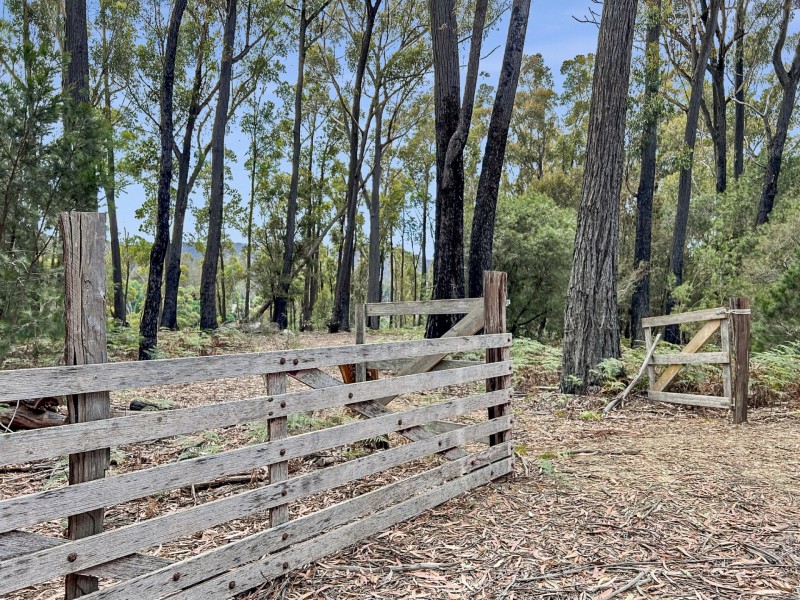858 Upper Scamander Road, Upper Scamander TAS 7215