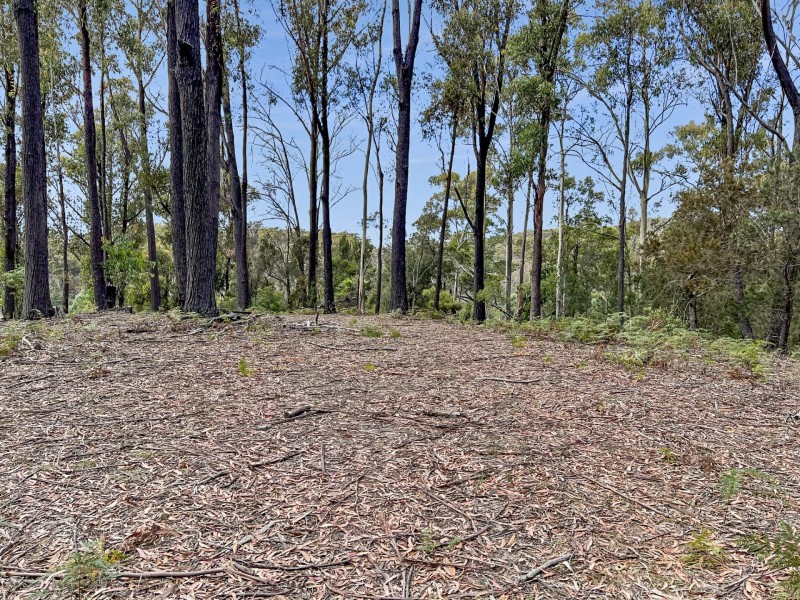 858 Upper Scamander Road, Upper Scamander TAS 7215