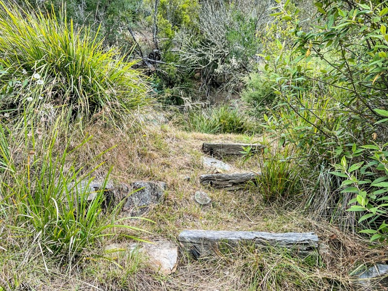 858 Upper Scamander Road, Upper Scamander TAS 7215