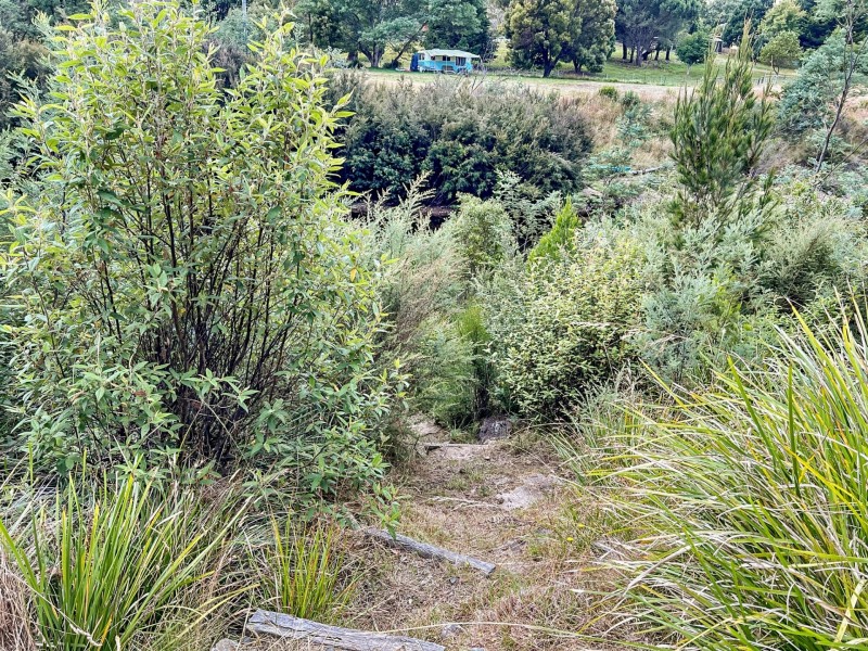 858 Upper Scamander Road, Upper Scamander TAS 7215